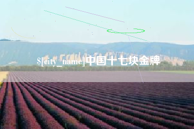 嘉兴中国十七块金牌