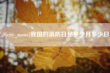 嘉兴我国的消防日是多少月多少日