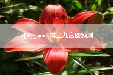嘉兴排三九宫图预测