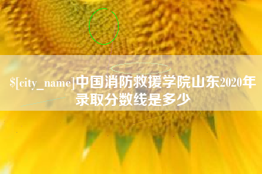 嘉兴中国消防救援学院山东2020年录取分数线是多少
