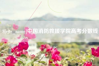 嘉兴中国消防救援学院高考分数线