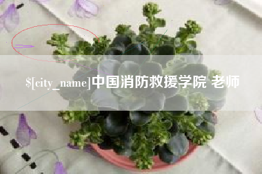 嘉兴中国消防救援学院 老师