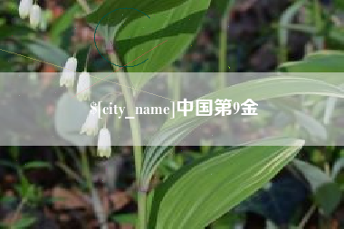 嘉兴中国第9金
