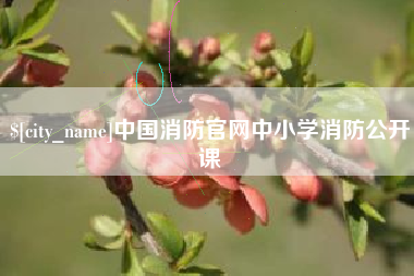 嘉兴中国消防官网中小学消防公开课
