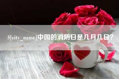 嘉兴中国的消防日是几月几日？