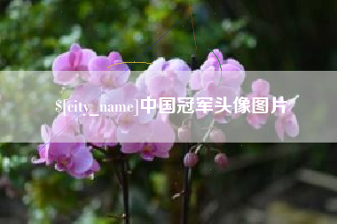 嘉兴中国冠军头像图片