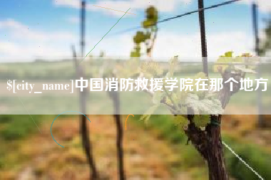 嘉兴中国消防救援学院在那个地方