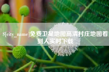 嘉兴免费卫星地图高清村庄地图看到人实时下载