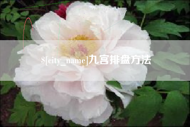 嘉兴九宫排盘方法