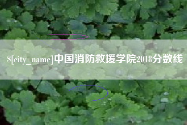 嘉兴中国消防救援学院2018分数线