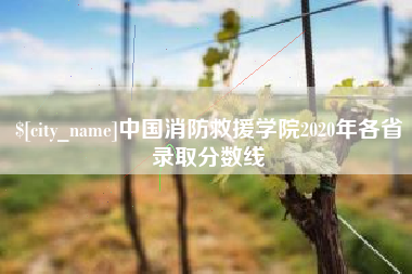 嘉兴中国消防救援学院2020年各省录取分数线