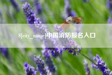 嘉兴中国消防报名入口