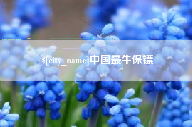 嘉兴中国最牛保镖