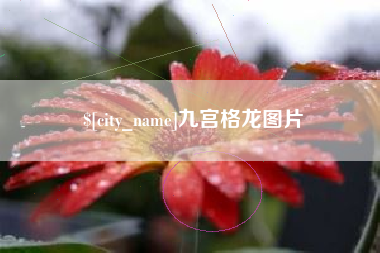 嘉兴九宫格龙图片