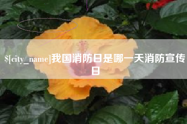 嘉兴我国消防日是哪一天消防宣传日