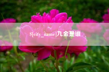 嘉兴九金是谁