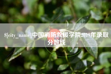 嘉兴中国消防救援学院2019年录取分数线