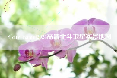 嘉兴2024高清北斗卫星实景地图