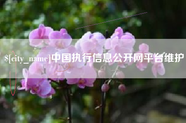 嘉兴中国执行信息公开网平台维护