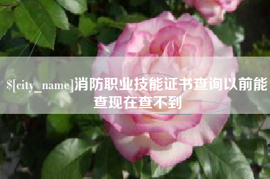 嘉兴消防职业技能证书查询以前能查现在查不到