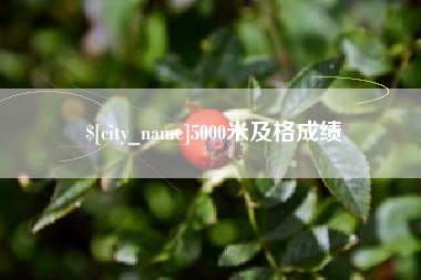 嘉兴5000米及格成绩