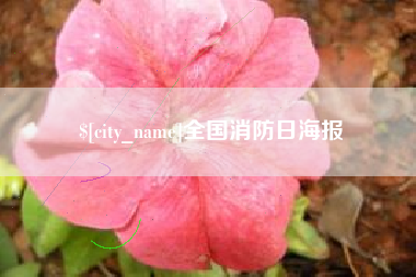 嘉兴全国消防日海报