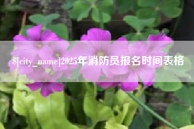 嘉兴2025年消防员报名时间表格