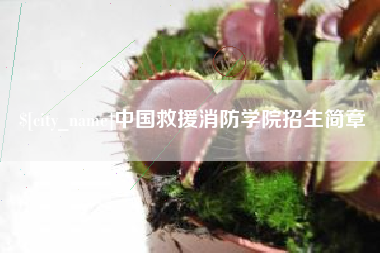 嘉兴中国救援消防学院招生简章