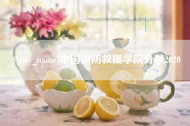 嘉兴中国消防救援学院分数2020