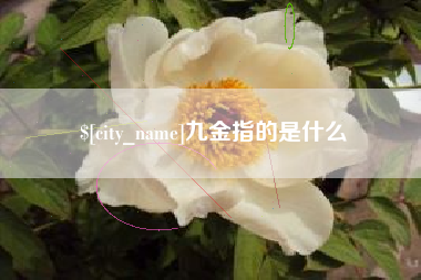 嘉兴九金指的是什么