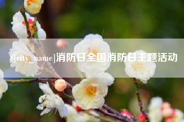 嘉兴消防日全国消防日主题活动