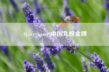 嘉兴中国九枚金牌