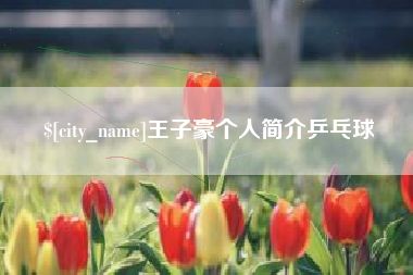 嘉兴王子豪个人简介乒乓球