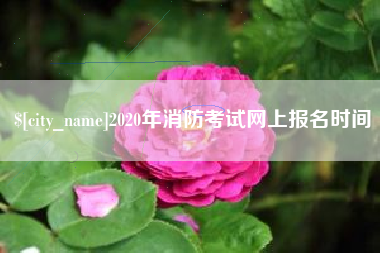 嘉兴2020年消防考试网上报名时间