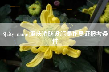 嘉兴重庆消防设施操作员证报考条件