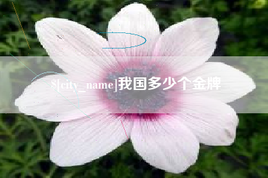 嘉兴我国多少个金牌
