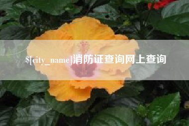 嘉兴消防证查询网上查询