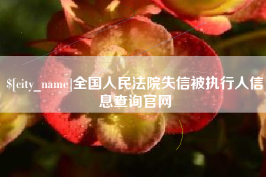 嘉兴全国人民法院失信被执行人信息查询官网