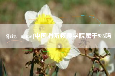 嘉兴中国消防救援学院属于985吗