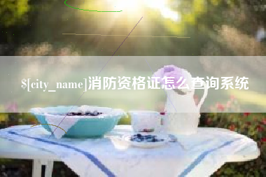 嘉兴消防资格证怎么查询系统