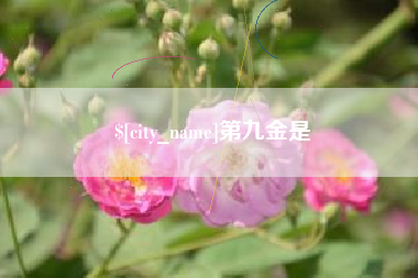 嘉兴第九金是