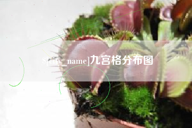 嘉兴九宫格分布图