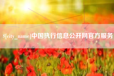 嘉兴中国执行信息公开网官方服务