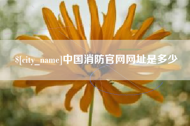 嘉兴中国消防官网网址是多少