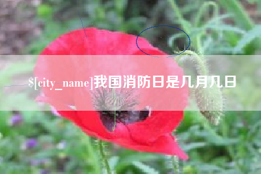 嘉兴我国消防日是几月几日