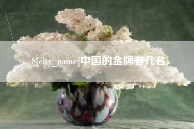 嘉兴中国的金牌有几名