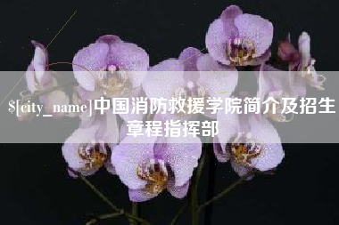 嘉兴中国消防救援学院简介及招生章程指挥部