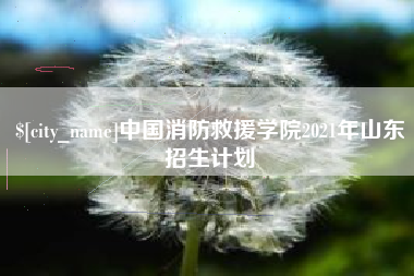 嘉兴中国消防救援学院2021年山东招生计划