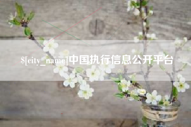 嘉兴中国执行信息公开平台