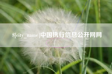 嘉兴中国执行信息公开网网